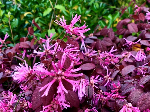 image011.jpg